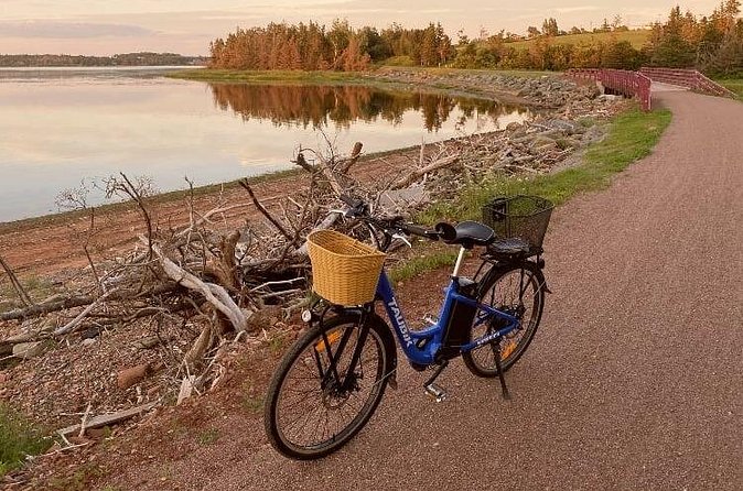 Day Tour of St. Peters Bay to Greenwich National Park - Greenwich National Park: Coastal Dunes and Floating Walkway