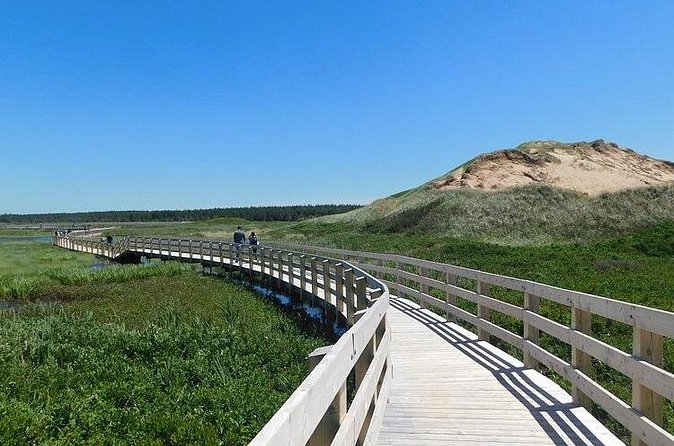 Day Tour of St. Peters Bay to Greenwich National Park - Lunch and Return Journey