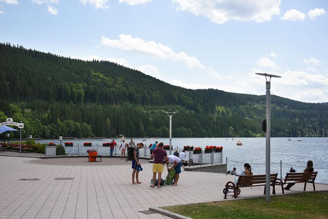 Trip from Zurich to Germany's Black Forest & Swiss Rhine Falls - In-Depth Look at the Tour Experience