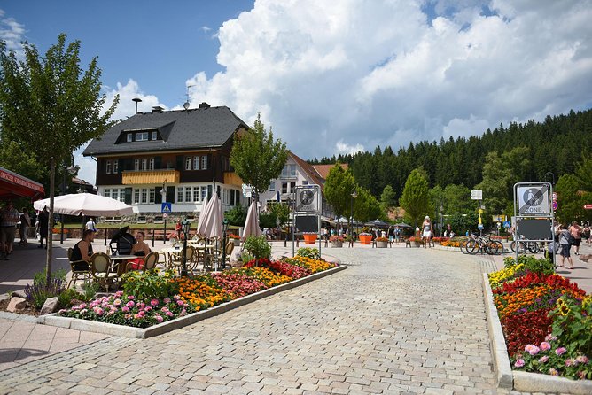 Trip from Zurich to Germany's Black Forest & Swiss Rhine Falls - FAQ