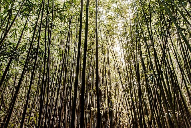 Hike Trail to Waterfall & Nature Walk - Key Points