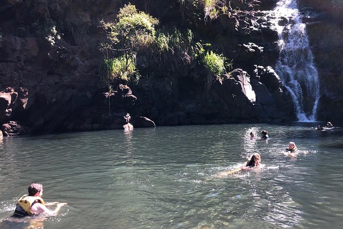 Surf and SeaTurtles Oahu Tour - What We Think About the Tour