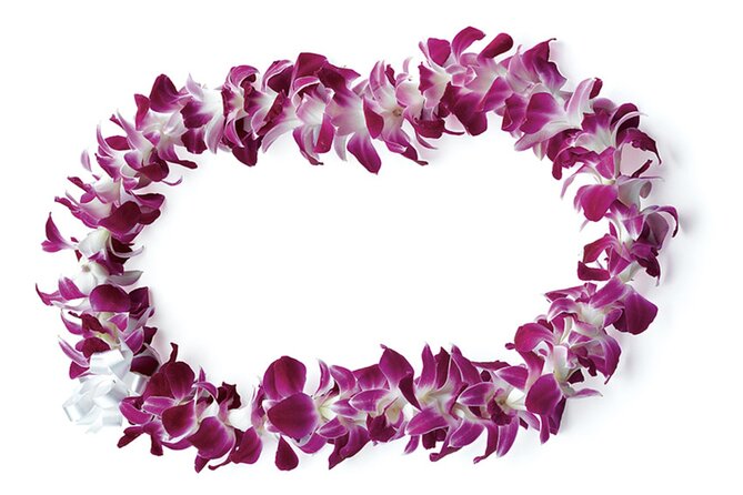 Honolulu Airport: Waikiki Private Transfer With Lei Greeting - What to Expect from Your Transfer
