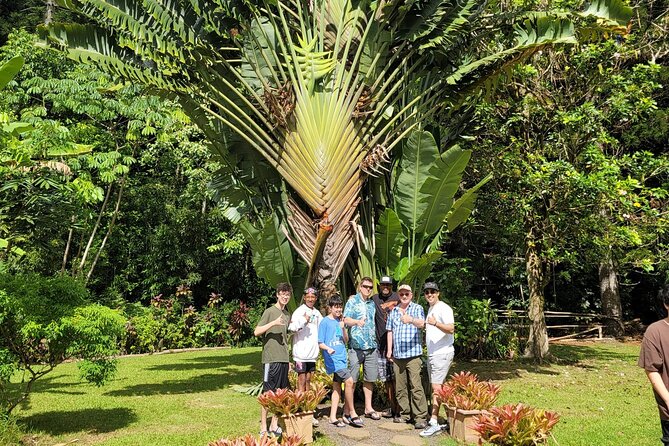 Private: Byodo-in Temple with Discounted Waimea Botanical Garden - Final Thoughts