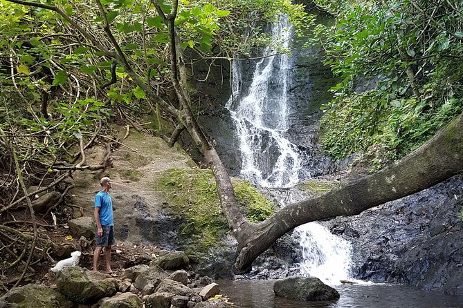 Downhill Bike and Ko'olau Waterfall Hike Tour - Key Points