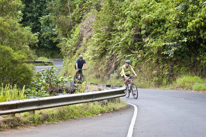 Downhill Bike and Ko'olau Waterfall Hike Tour - Exploring Oahu’s Natural Beauty: Downhill Bike and Ko‘olau Waterfall Hike Tour