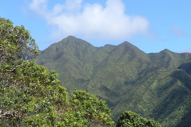 Oahu Volcanic Rainforest Hiking Adventure - Who Should Take This Tour?