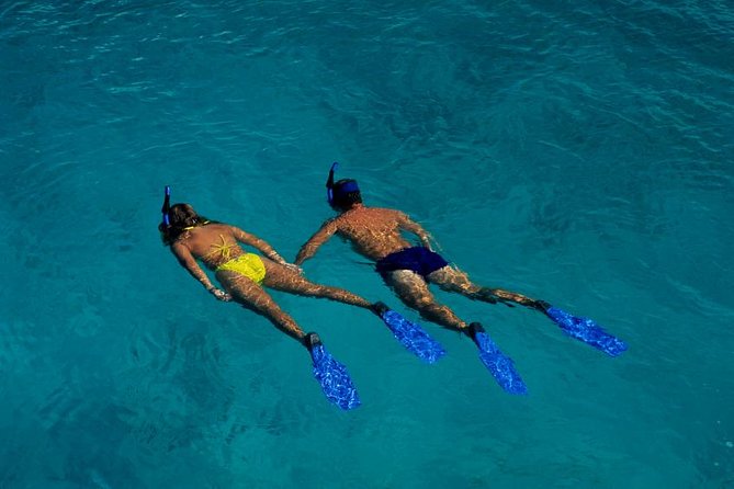 Half Day Oahu Combo Adventure: Bike, Sail and Snorkel - An In-Depth Look at the Oahu Combo Tour