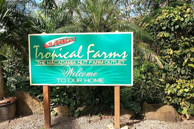 Tour of North Shore & Waimea Waterfall - Real Travelers Feedback and What It Tells Us