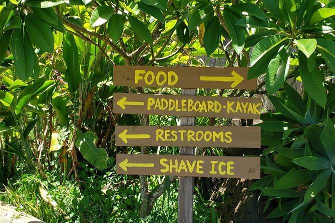 Tour of North Shore & Waimea Waterfall - Ideal For: Who Is This Tour Best For?