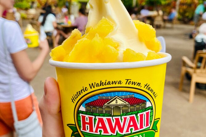 Private Half-Day Circle Island Highlights Tour in Oahu - Experience the Best of Oahu in Half a Day: Private Circle Island Highlights Tour