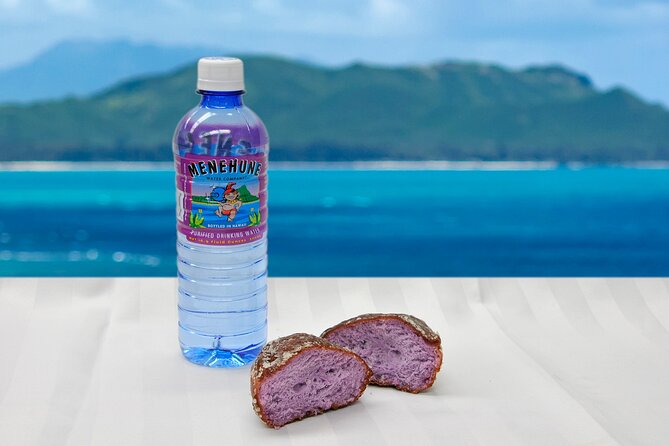 Grand Circle Island and Haleiwa 9 Hour Tour - Final Thoughts