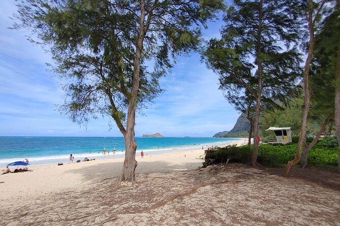 Private Jeep Tour of Oahu's Best Hidden Gems - A Deep Dive into the Experience