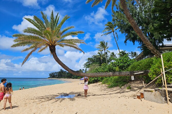 Private Jeep Tour of Oahu's Best Hidden Gems - Who Should Consider This Tour?
