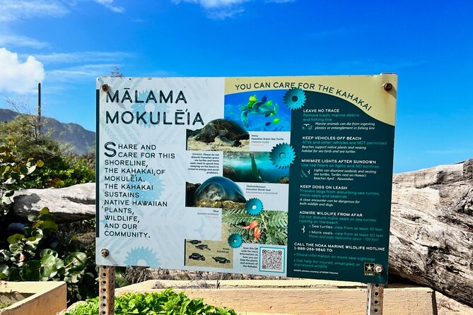 North Shore Dole Pineapple Farm Tour - Key Points