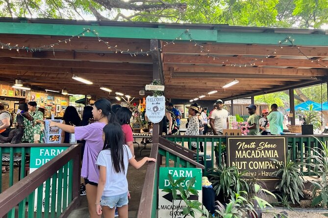 North Shore Dole Pineapple Farm Tour - A Complete Guide to the North Shore Dole Pineapple Farm Tour