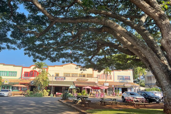 Private Circle Island Tour North Shore and East Side - Final Thoughts