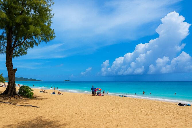 Private East Oahu Highlights Tour Byodo In Temple & Pali Lookout - Key Points