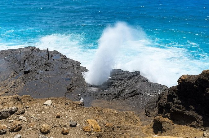 Private East Oahu Highlights Tour Byodo In Temple & Pali Lookout - Who is This Tour Perfect For?