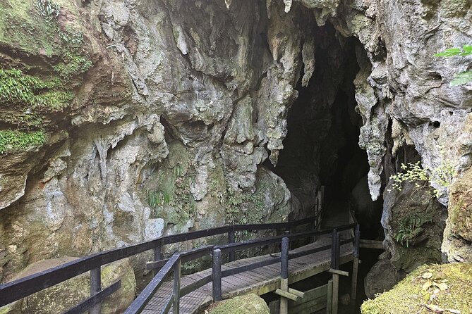 Haruru Waterfalls and Glow Worm Caves Tour - What makes this tour stand out?