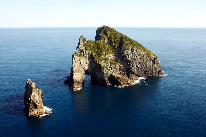 Bay of Islands Cruise & Island Tour - Snorkel, Hike,Swim,Wildlife - Who Is This Tour Best Suited For?