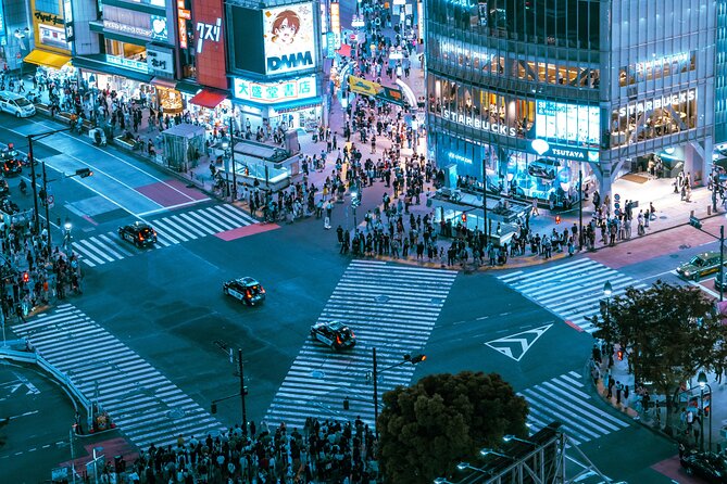 Tokyo After Dark Scenic Night Tour - Who Will Love This Tour?  