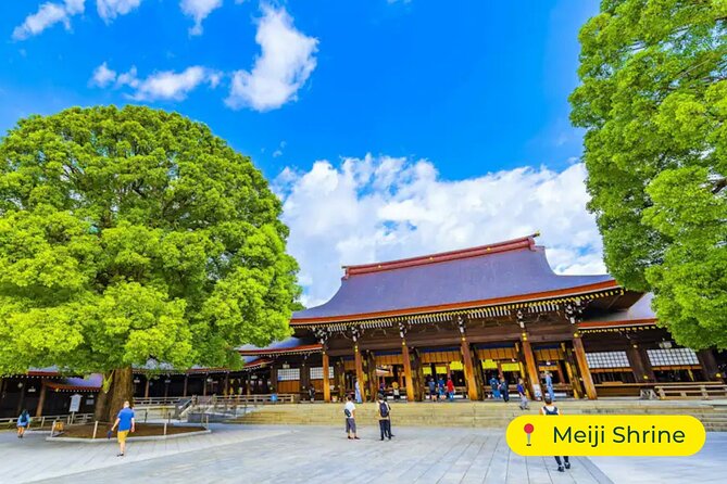 Tokyo Private Tour by Car with English-Speaking Driver (Premium) - In-Depth Look at the Itinerary