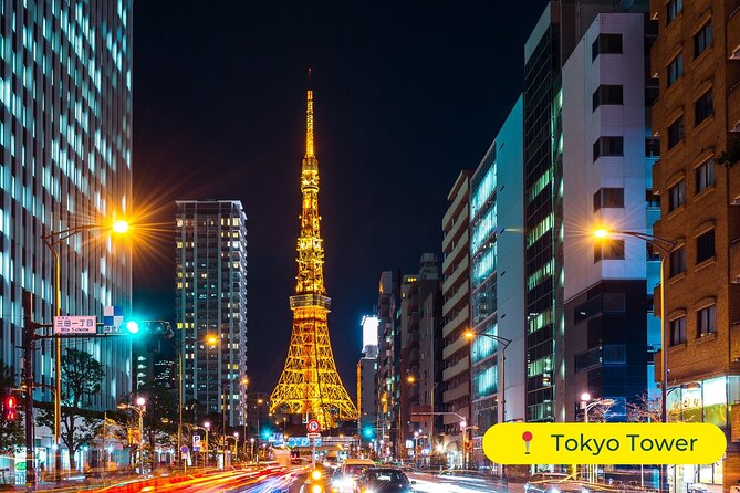 Tokyo Private Tour by Car with English-Speaking Driver (Premium) - The Experience of the Guide