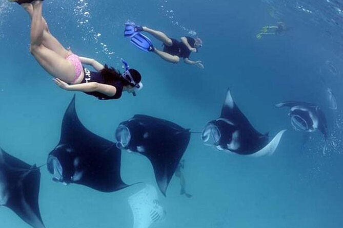 Explore 4 iconic snorkeling spots of Manta Bay in Nusa Penida - A Closer Look at the Itinerary