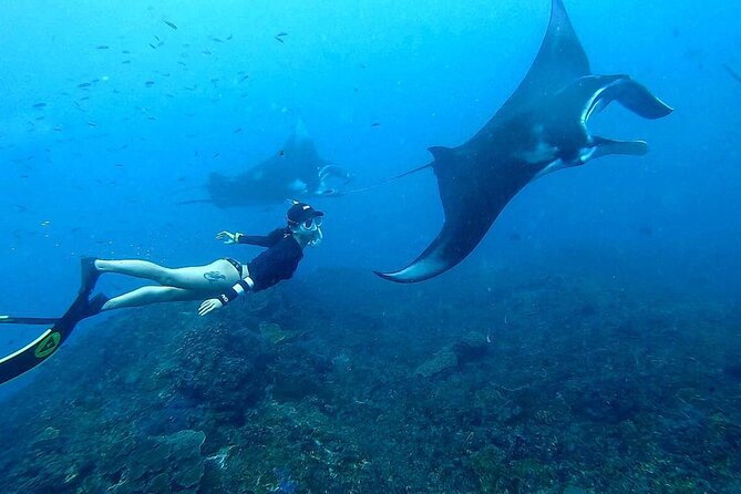 Explore 4 iconic snorkeling spots of Manta Bay in Nusa Penida - FAQs