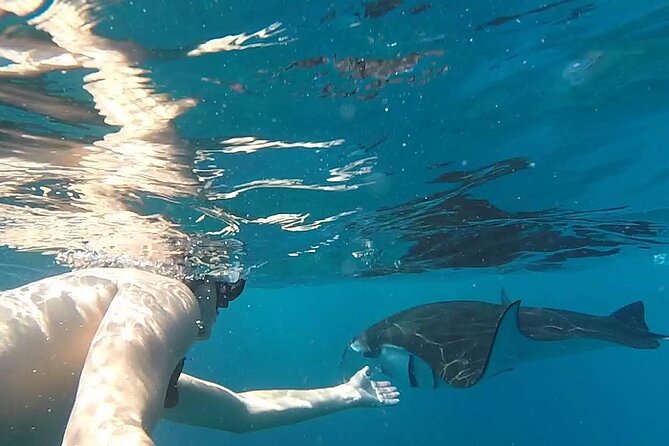 Explore 4 iconic snorkeling spots of Manta Bay in Nusa Penida - Why This Tour Could Be Perfect for You