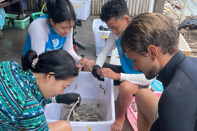 Reef Rehabilitation Course and Snorkeling - Why This Tour is Worth Considering