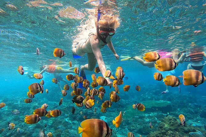 Bali Nusa Penida Snorkeling Tour West - A Detailed Look at the Itinerary