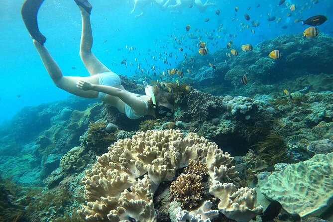 Bali Nusa Penida Snorkeling Tour West - Frequently Asked Questions