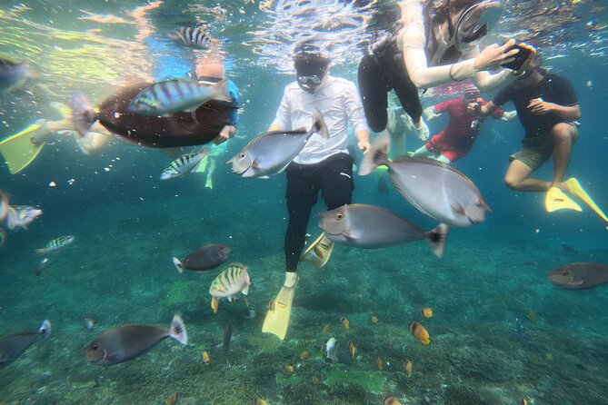 Start at Nusa Penida, Snorkeling Manta Rays + Land Tour shared - Detailed Breakdown of the Itinerary