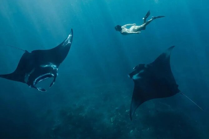 Start at Nusa Penida, Snorkeling Manta Rays + Land Tour shared - Introduction
