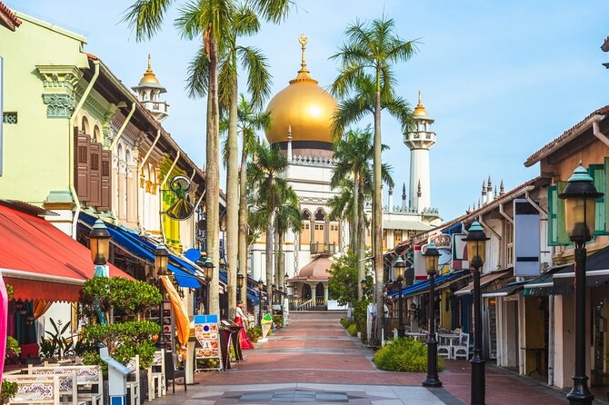 Private Singapore Tour Chinatown with Little India and Kampong - Practical Details and What You Should Know