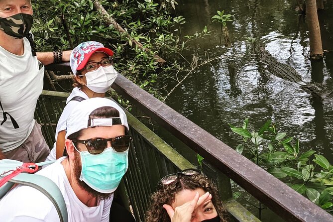 Untamed Mangroves: Wildlife Unveiled - Untamed Mangroves: Wildlife Unveiled — A Deep Dive into Singapore’s Hidden Wetlands