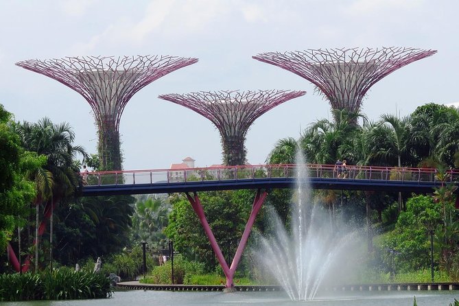 Singapore: Gardens by the Bay Admission E-Ticket - Key Points