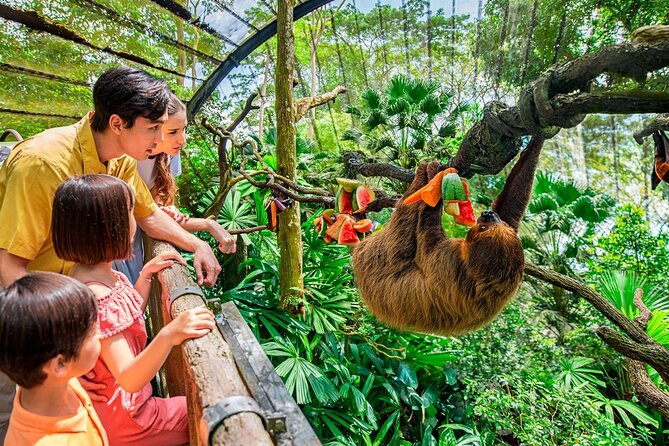 Singapore Zoo - The Sum Up