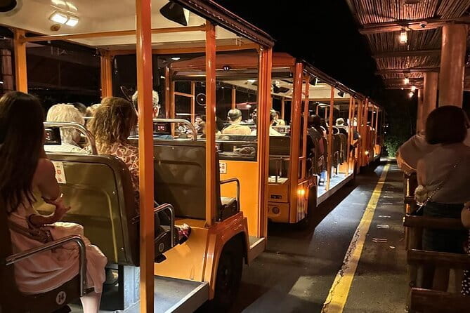 Singapore Night Safari - How to Make the Most of Your Night Safari Visit