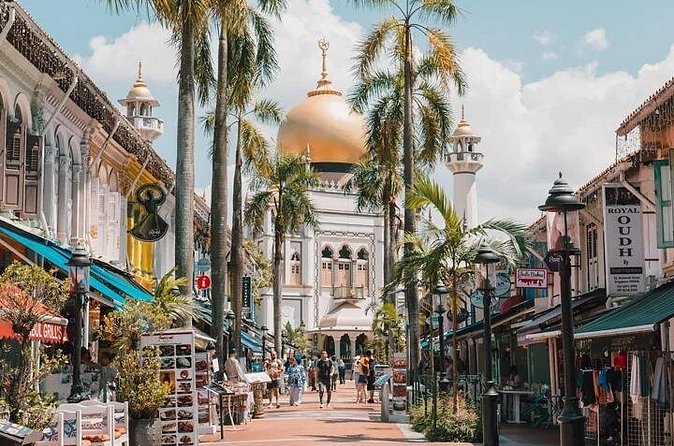 Discover Singapore Cultural Heritage on a Private Walking Tour - Practical Tips for Your Tour