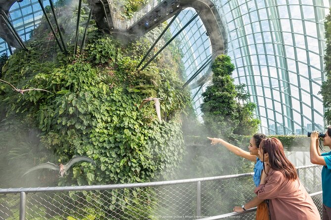 Singapore OCBC Skyway Flower dome Cloud Forest Garden by the Bay - FAQ