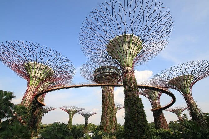 Admission E-Ticket to Gardens by the Bay Singapore - Final Thoughts: Why This Tour Works
