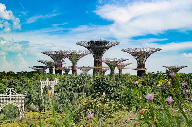 Singapore Street Food Tour with a Local: A Feast for Foodies 100% Personalized - Logistics and Practical Details