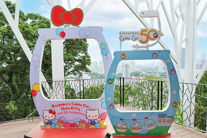 Singapore Cable Car Sky Pass - Who Should Consider This Tour?