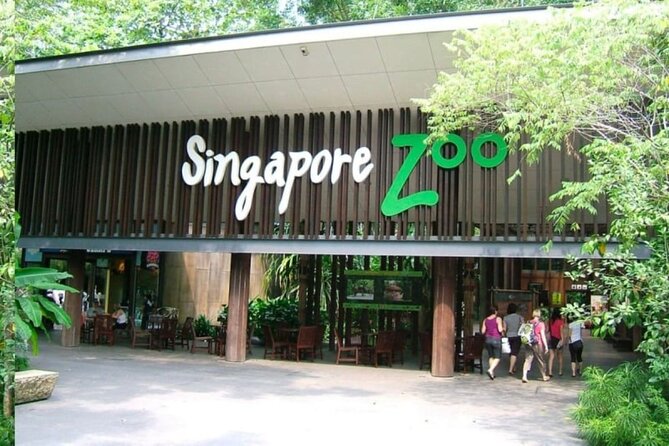 Breakfast In the Wild at Singapore Zoo Promo - Authentic Insights from Reviews