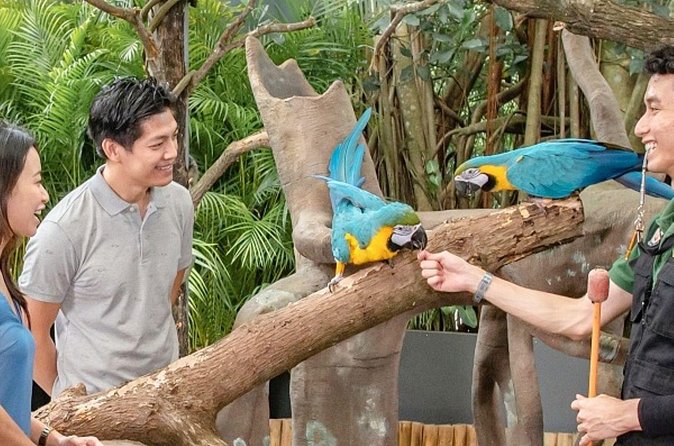 Breakfast In the Wild at Singapore Zoo Promo - Final Verdict