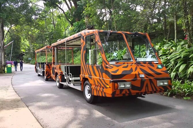 Singapore Zoo with Tram Ride Experience for Tourist - A Closer Look at Singapore Zoo and Its Tram Ride