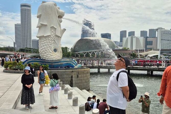 Airport to City and Food Private Tour for Layover and Transit - Final Thoughts